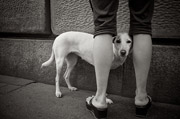 云呼呼死你